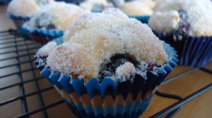 blueberry muffins