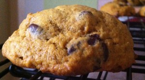 pumpkin chocolate chip cookies 2