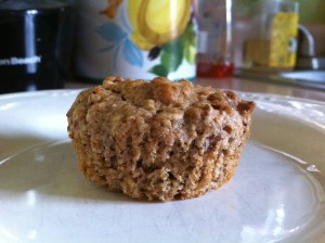 oatmeal spice muffin