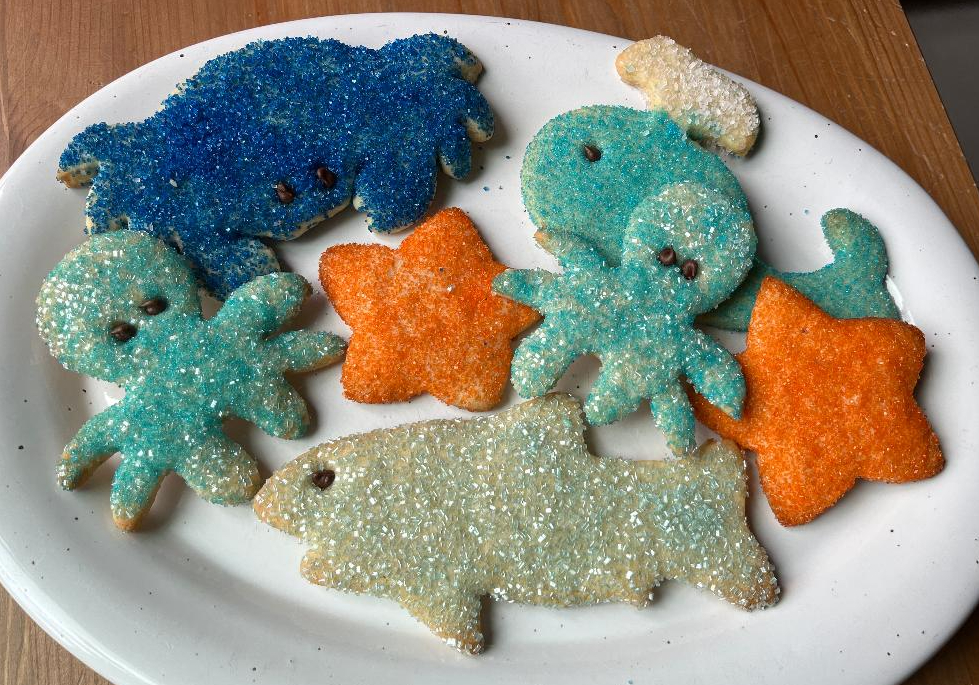 sparklingundertheseacookies