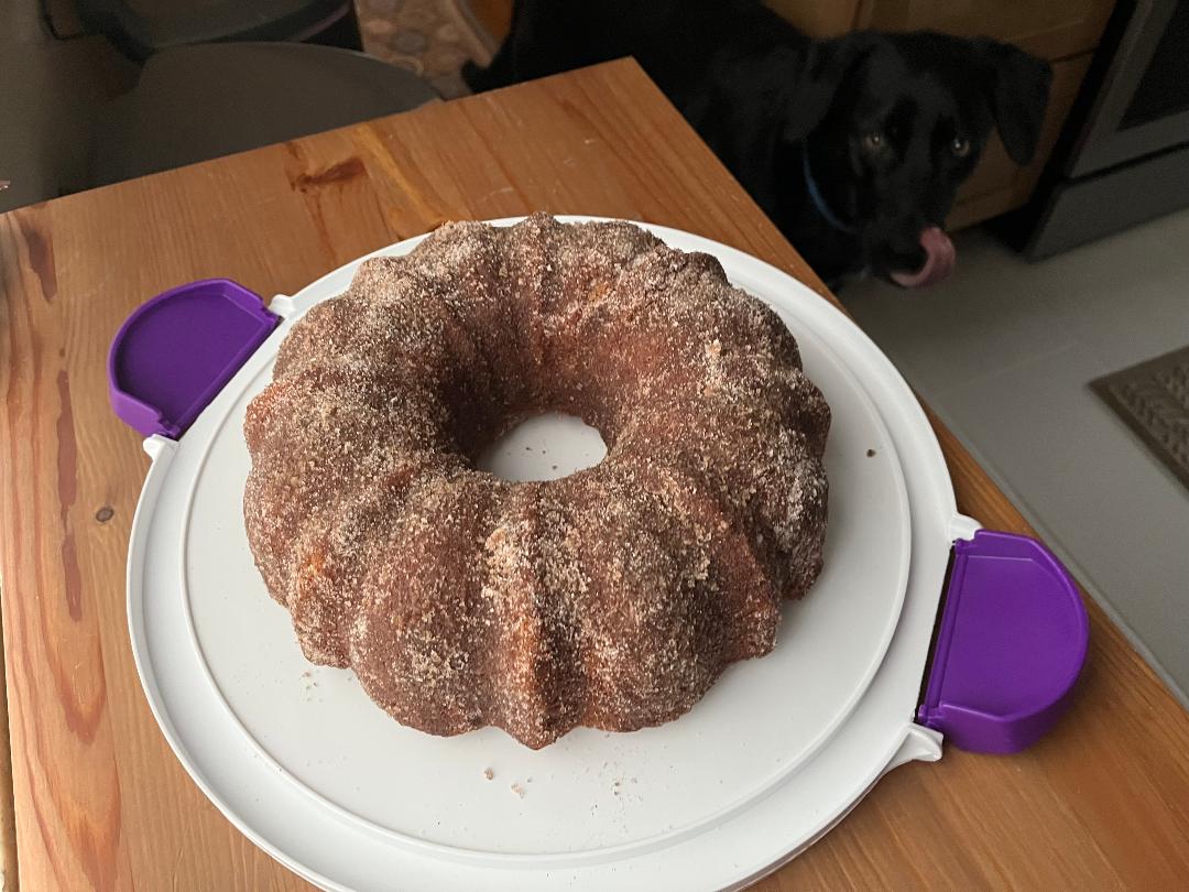 tucker with donut cake